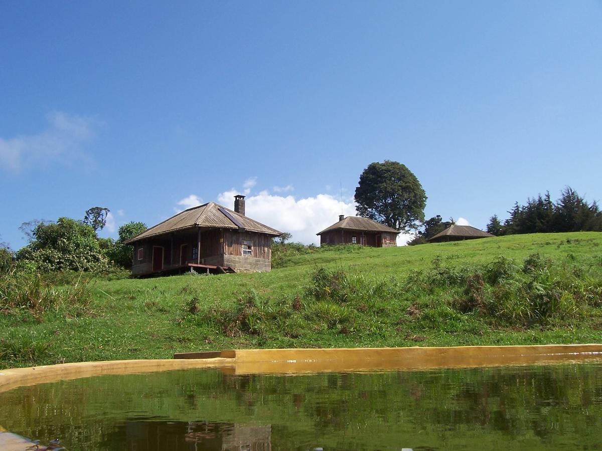 Mount Kenya National Park Castle Forest Lodge מראה חיצוני תמונה