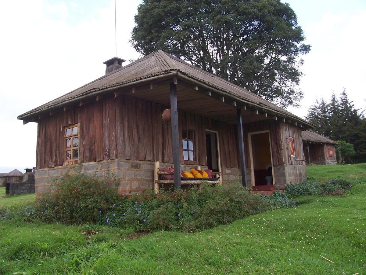 Mount Kenya National Park Castle Forest Lodge מראה חיצוני תמונה