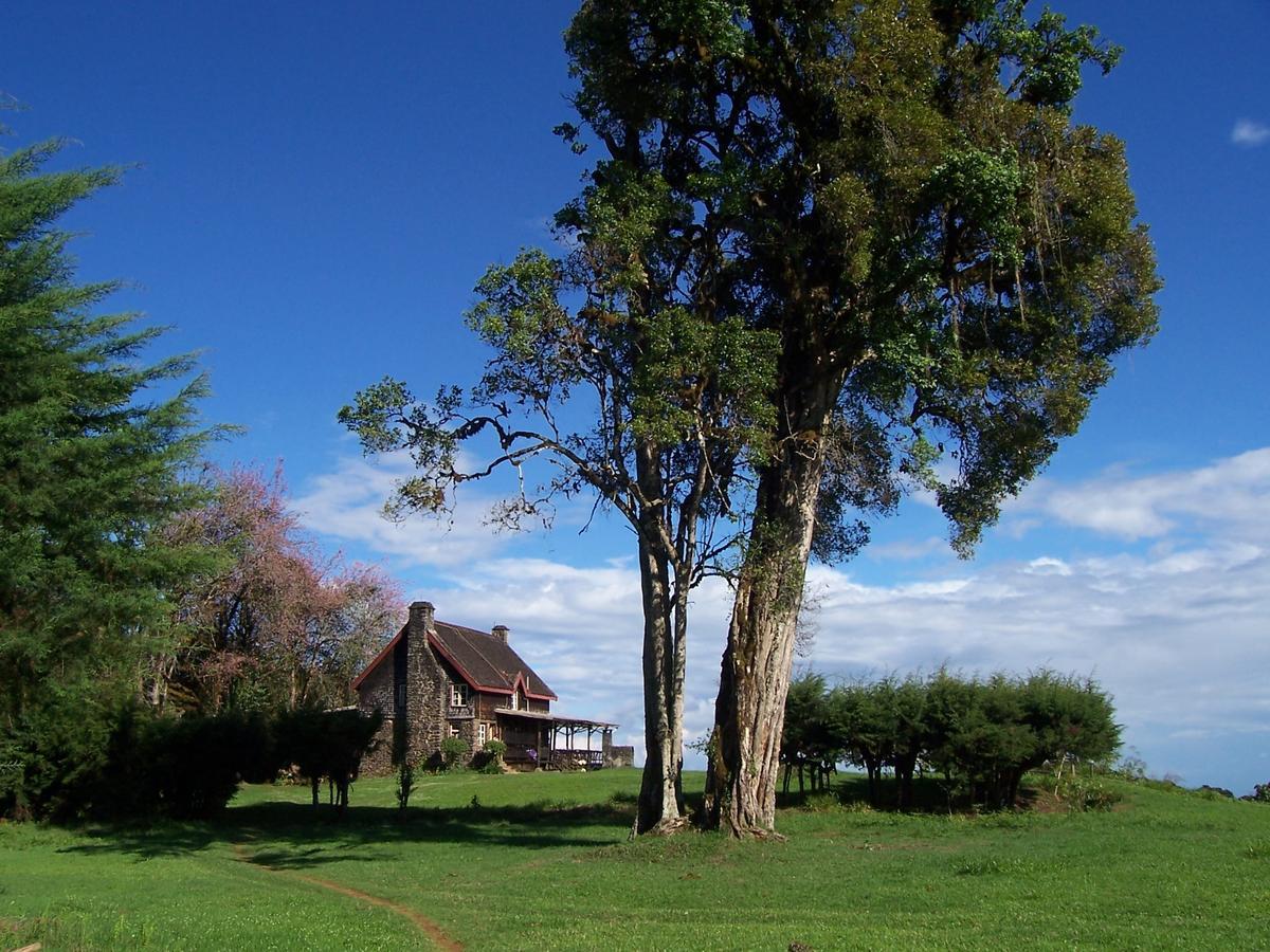 Mount Kenya National Park Castle Forest Lodge מראה חיצוני תמונה