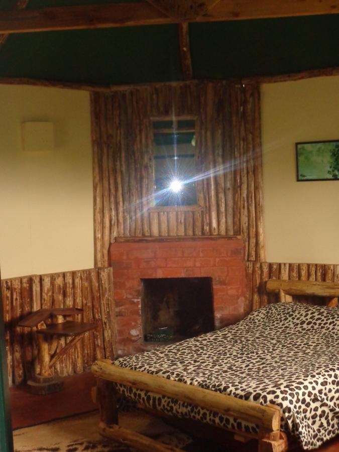 Mount Kenya National Park Castle Forest Lodge מראה חיצוני תמונה