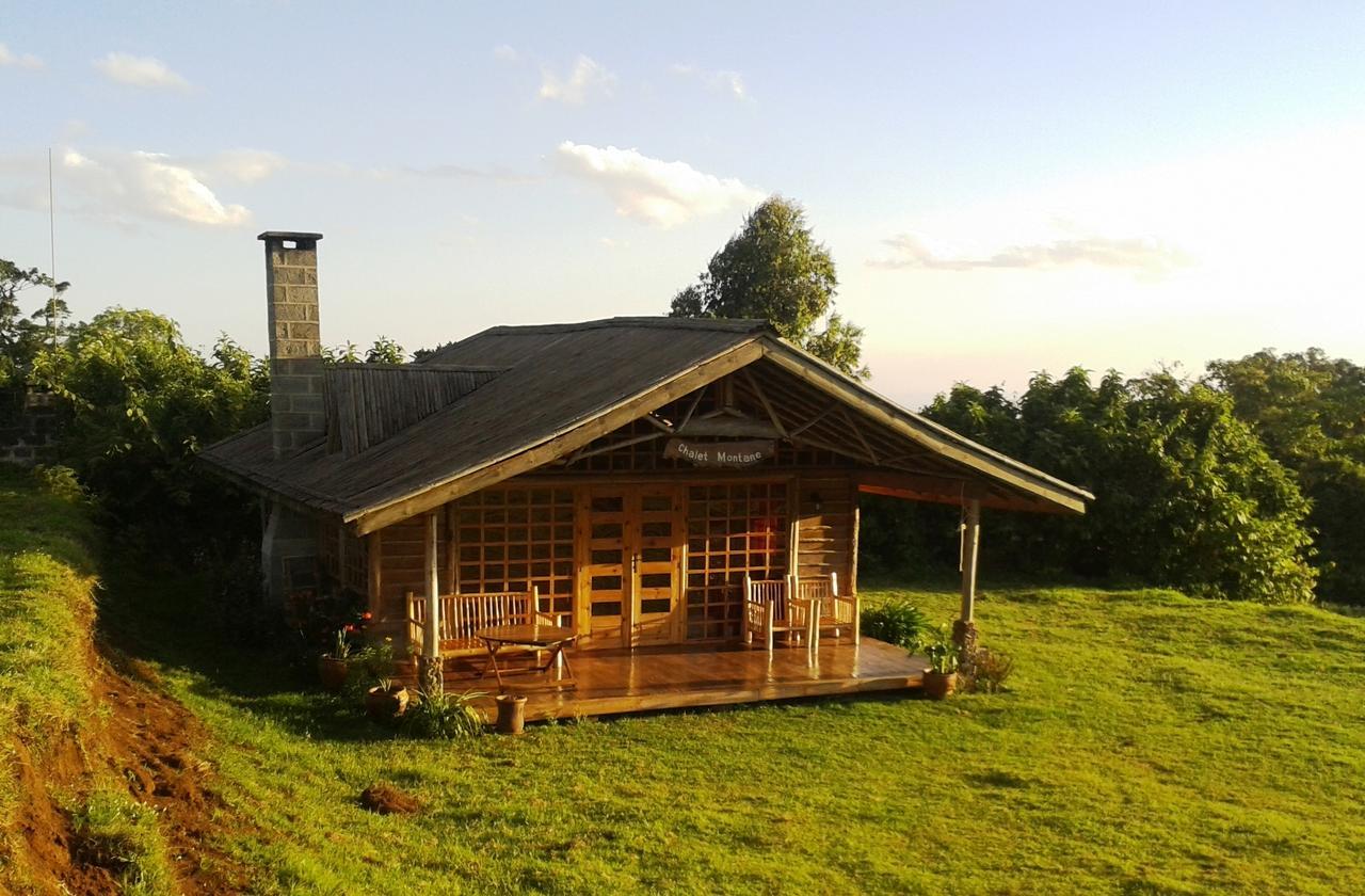 Mount Kenya National Park Castle Forest Lodge מראה חיצוני תמונה