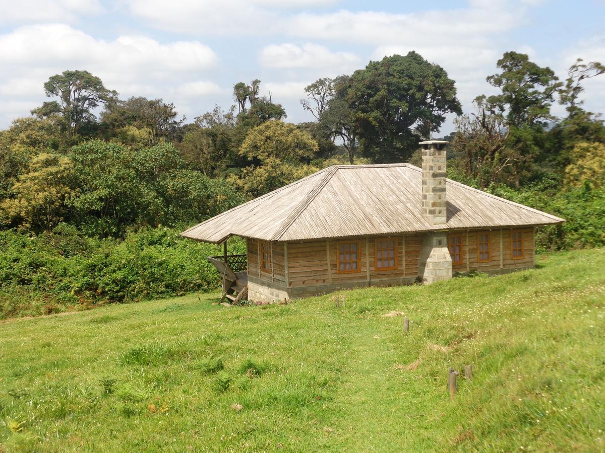 Mount Kenya National Park Castle Forest Lodge מראה חיצוני תמונה