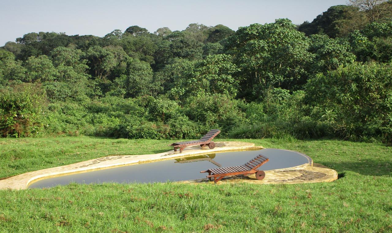 Mount Kenya National Park Castle Forest Lodge מראה חיצוני תמונה